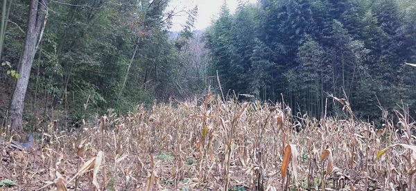 郧西增减挂钩